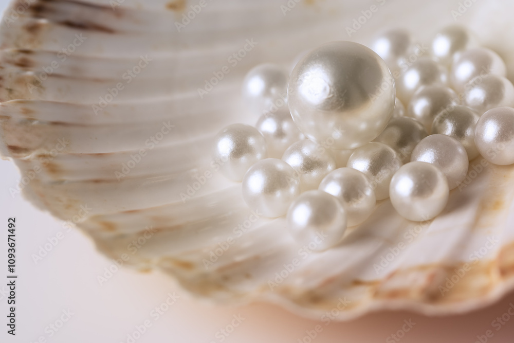 Beautiful white pearls on an oyster shell Beautiful white pearls on an oyster shell