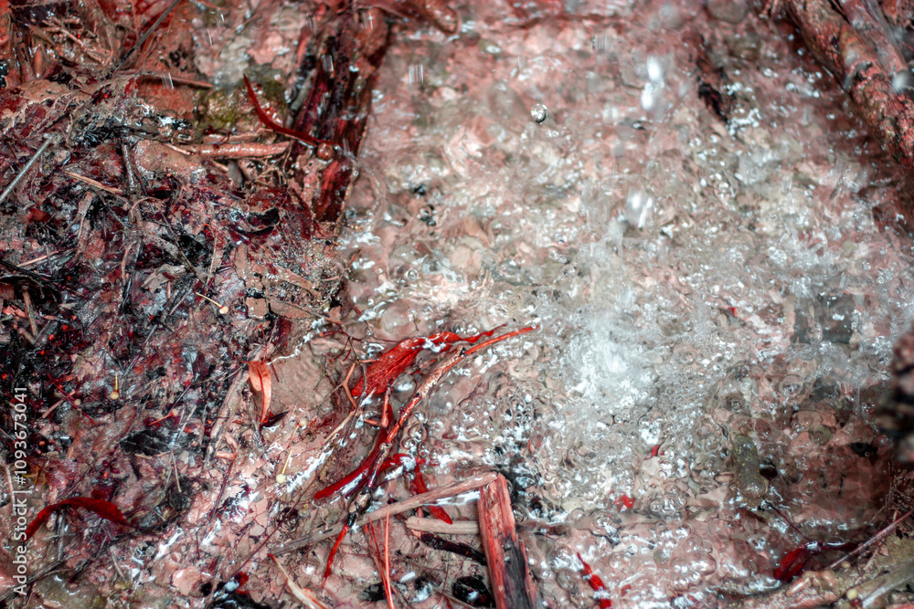 Fototapeta premium A colorful fantasy on the theme of a splash of clear water illuminated by the sun. The water splashes against the background of grass and stones, chaotically painted in different colors.