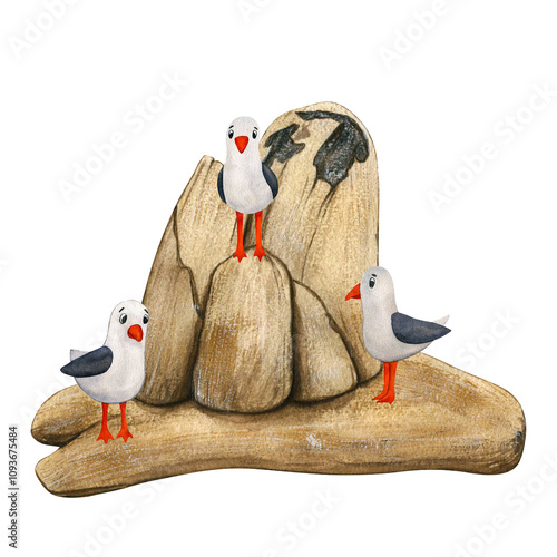 Watercolor illustration of seagulls on a rock. Hand drawn rock and gulls isolated on white background. Element of nature landscape and Seabirds. Stylized children's marine clip art for design postcard photo