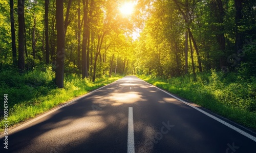 A long, peaceful road through a lush green forest on a sunny day.