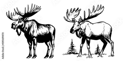 collection of moose and forest elements in black silhouette vector