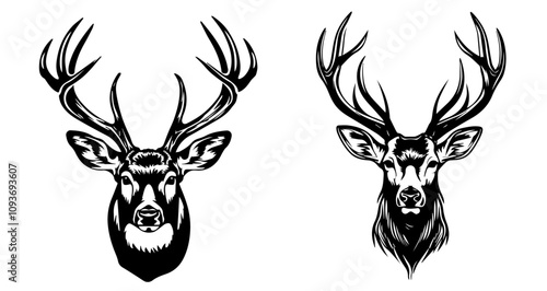 majestic deer head illustrations with antlers