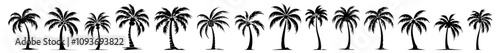 collection of tropical palm trees illustration – black vector