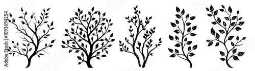 Stylized tree branch designs with foliage – artistic black vector collection