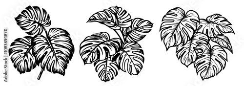 exotic tropical leaf cluster illustration in bold lines – black vector