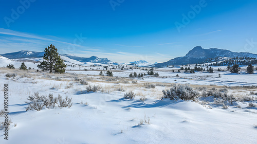 Wallpaper Mural A vast snowy tundra with scattered evergreen trees and distant mountains under a clear sky. Torontodigital.ca