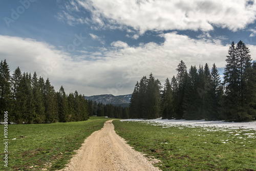 Dans la Région des Fourgs En Franche Comté en Avril 2024 photo