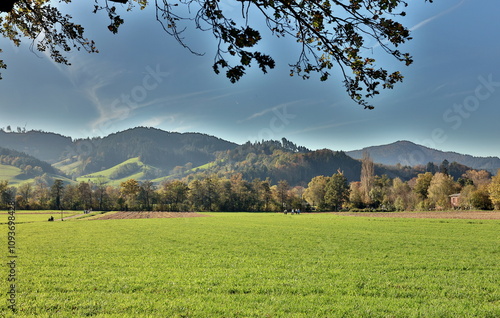 Herbstlandschaft in Kirchzarten bei Freiburg photo