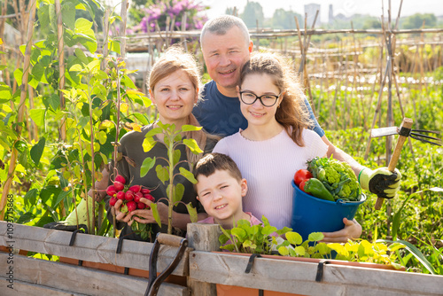 Wallpaper Mural Portrait of couple with boy and teen girl posing with fresh harvest on small agricultural family farm Torontodigital.ca