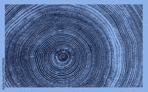 Blue monotone close up of vintage end grain of wood slab. Tree rings art with texture and cracked surface.