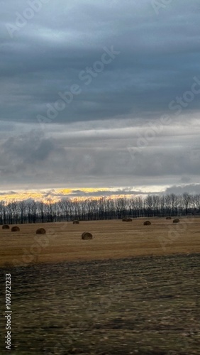 Rolling hay bales scattered across a golden field under a dramatic cloudy sky. A tranquil moment of rural life with a touch of autumn’s serenity photo