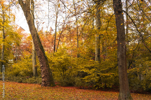 le parc avec les jolies couleurs d'automne
