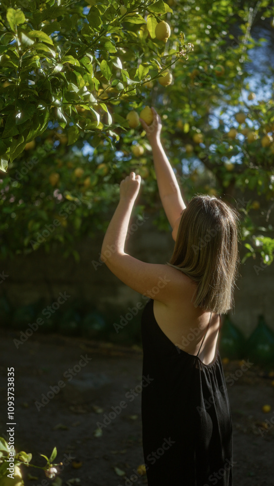 A beautiful young woman reaches for lemons in a sunlit italian garden surrounded by lush trees on a charming farm. A beautiful young woman reaches for lemons in a sunlit italian garden surrounded by lush trees on a charming farm.