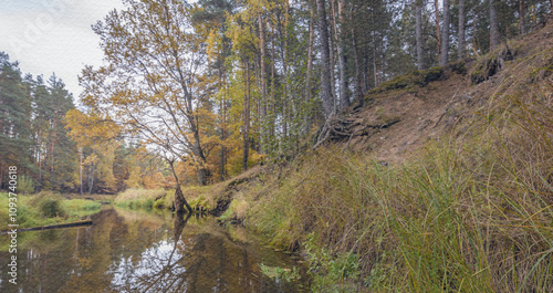 River with a tree in the foreground