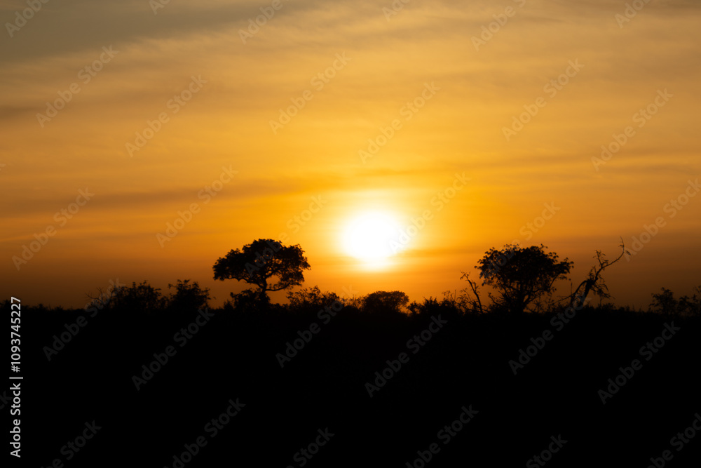 lever de soleil dans le Parc National Kruger, Afrique du Sud lever de soleil dans le Parc National Kruger, Afrique du Sud