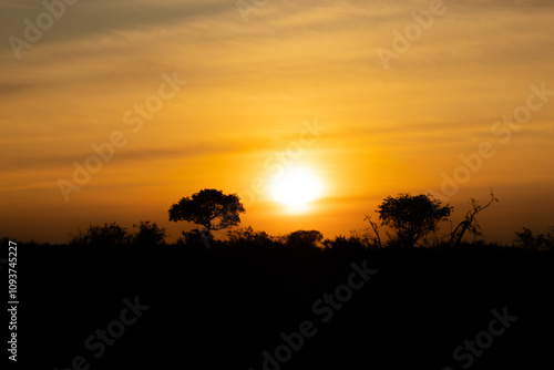 lever de soleil dans le Parc National Kruger, Afrique du Sud