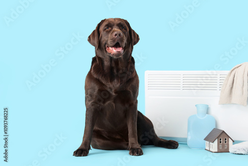 Cute Labrador dog with elec...