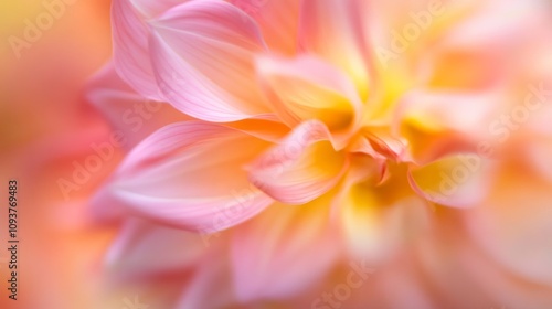 A blurred floral background with soft pink and yellow tones, creating a cheerful yet subtle design perfect for lighthearted presentations