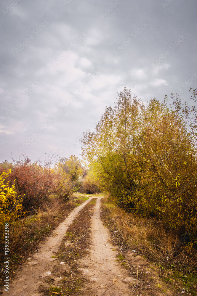 Fototapeta premium A path through trees and bushes with green, yellow and orange foliage, against the backdrop of a bright dawn sky