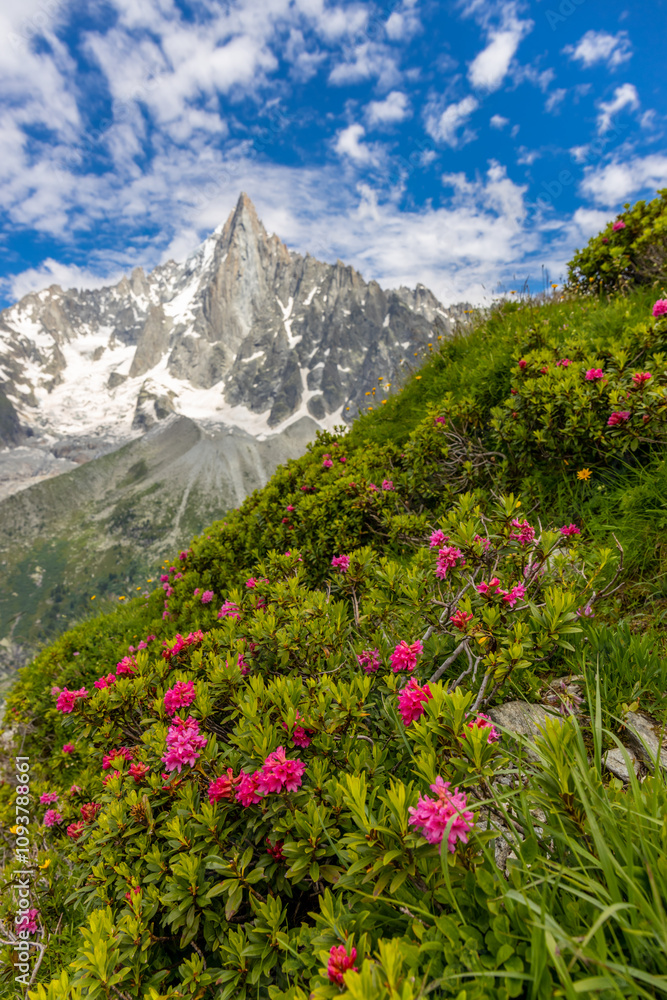 Fototapeta premium Petit Dru granite mountain wall and summit in Chamonix valley, french Alps. Prominent mountain peak in the Alps, stunning landscape view of the rocky peak covered with clouds, snow and ice