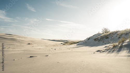 A desert landscape with a blue sky and fluffy white clouds above