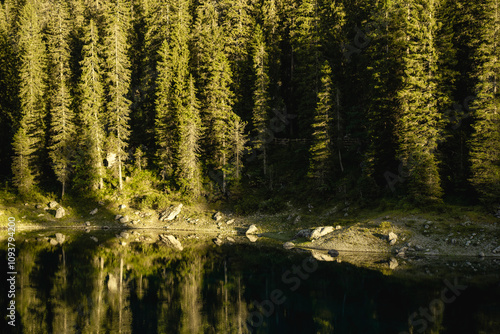 A lake surrounded by trees reflecting in the water