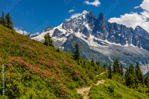 Petit Dru granite mountain wall and summit in Chamonix valley, french Alps. Prominent mountain peak in the Alps, stunning landscape view of the rocky peak covered with clouds, snow and ice