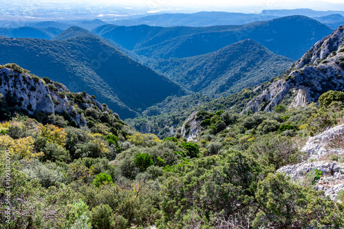 Val de Durance depuis la foret de cèdres