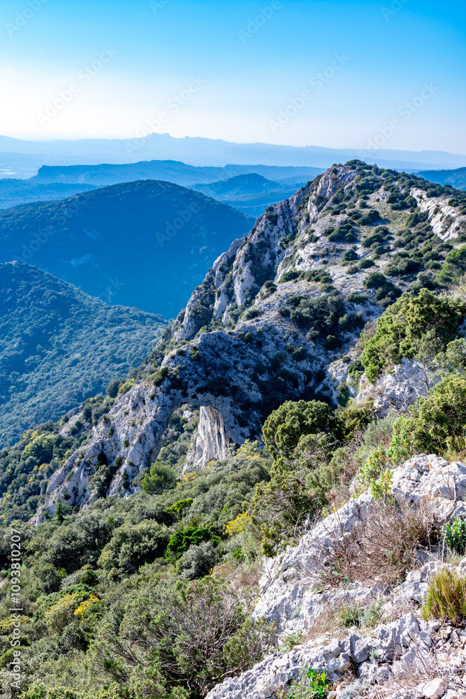 Obraz premium Val de Durance depuis la foret de cèdres
