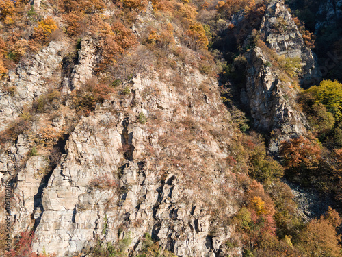 Rhodope Mountains around Chepelarska River (Chaya), Bulgaria photo