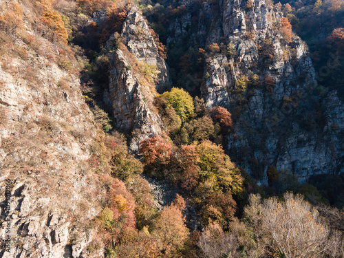 Rhodope Mountains around Chepelarska River (Chaya), Bulgaria photo