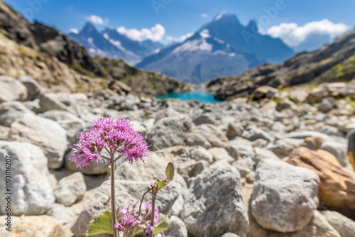 Petit Dru granite mountain wall and summit in Chamonix valley, french Alps. Prominent mountain peak in the Alps, stunning landscape view of the rocky peak covered with clouds, snow and ice