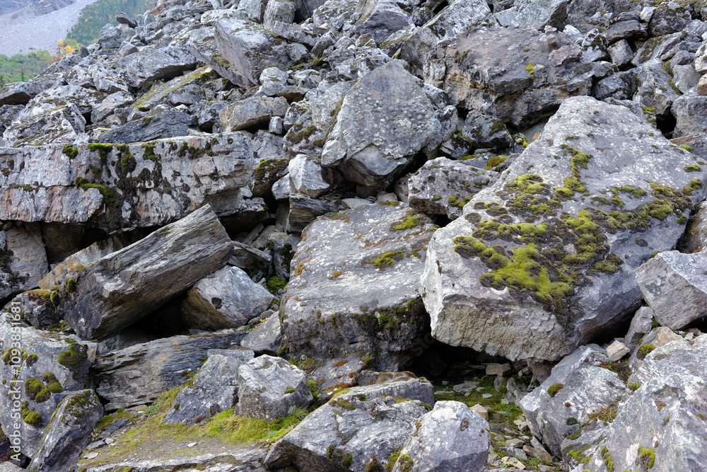 stone wall with moss, Canadian Rockies, Rocks stone wall with moss, Canadian Rockies, Rocks