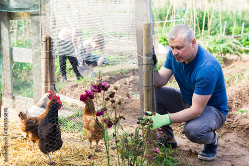 Positive male farmer squatting near henhouse, checking poultry photo