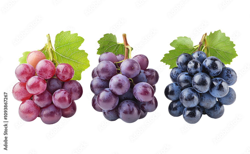 Fresh Grapes on Transparent Background Fresh Grapes on Transparent Background