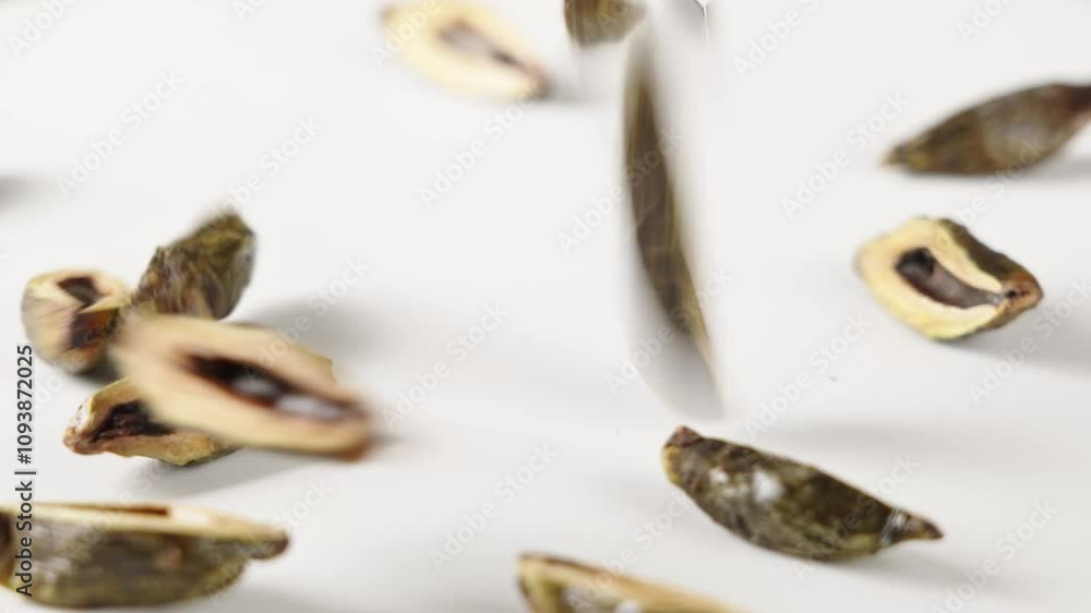close up of dried betel nuts snack close up of dried betel nuts snack