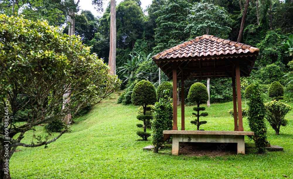 A building in a jungle southeast asia malaysia lush nature green A building in a jungle southeast asia malaysia lush nature green