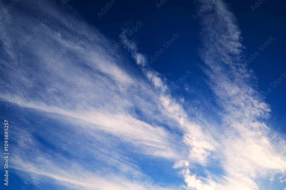 Obraz premium 刷毛で描いたような秋の雲