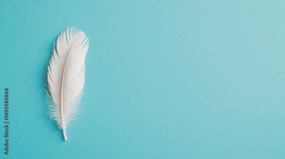 A delicate white feather rests on a serene turquoise background, evoking a sense of lightness and tranquility. A delicate white feather rests on a serene turquoise background, evoking a sense of lightness and tranquility.