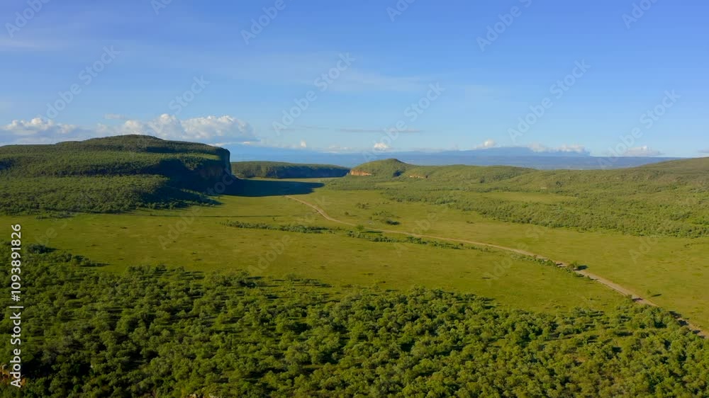 Drone footage from Africa. An aerial view showcases the lush greenery ...