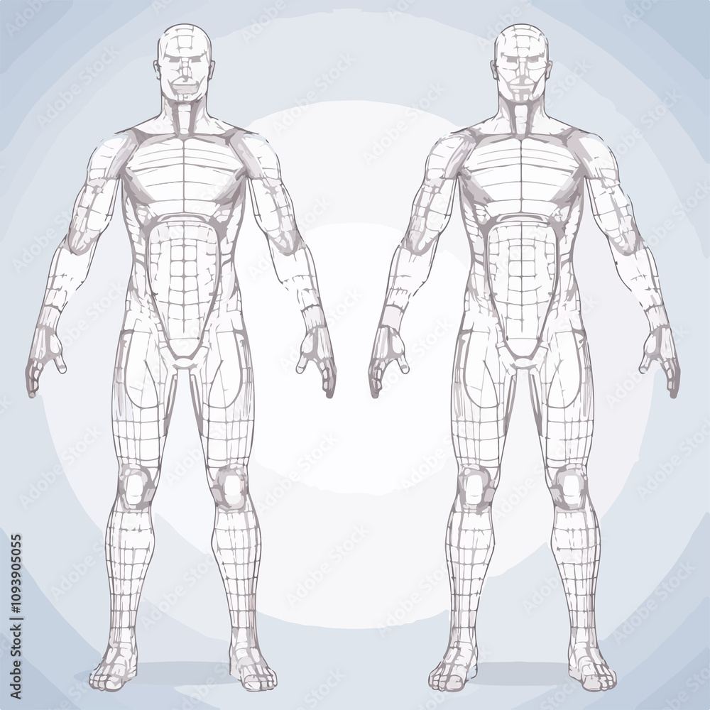 Professional Illustration of Human Body Outline Professional Illustration of Human Body Outline