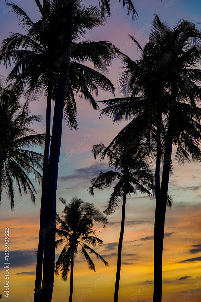 Obraz premium palm trees at sunset on the beach