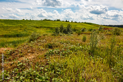 Landscape of a sand quarry overgrown with green grass photo