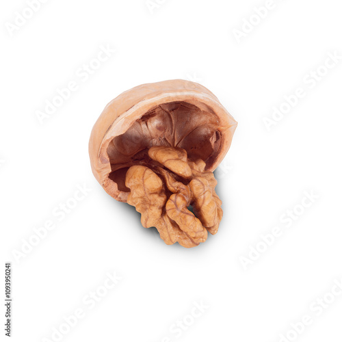 Walnut Organic Healthy Nut on White Background. File With Clipping Path.