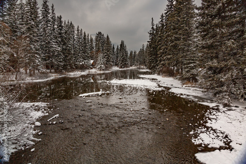 Spring Creek Alberta