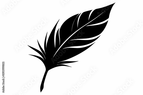 A feather of a bird of-paradise black-silhouette. Isolated black silhouette of bird feathers one 