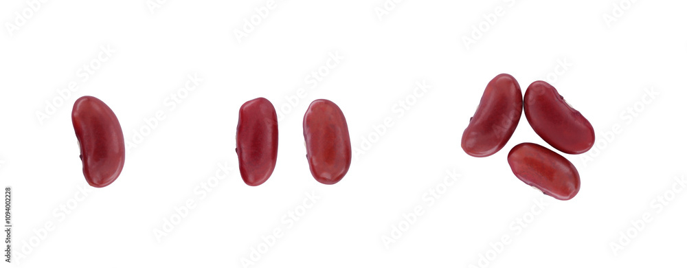 Single red kidney bean seed on white background, top view (raw red kidney bean or red bean) Single red kidney bean seed on white background, top view (raw red kidney bean or red bean)
