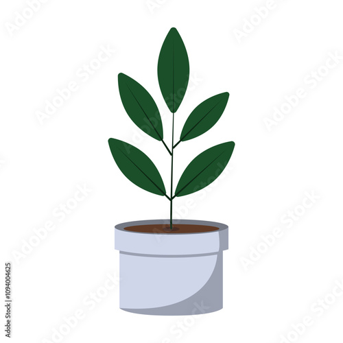 Simple potted plant with green leaves illustration on white background. 