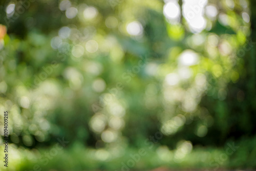 Blur green leaves background, forest atmosphere, for material design