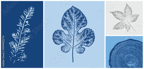 Decorative leaf silhouette prints and wood block prints. Monotone blue and gray botanical tree rings impression print.